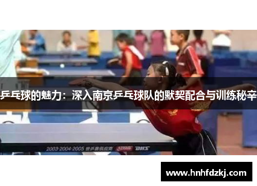 乒乓球的魅力：深入南京乒乓球队的默契配合与训练秘辛
